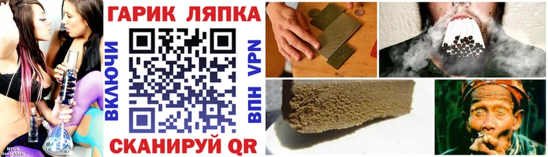 ГАШ Premium  Купить где  Дербент 