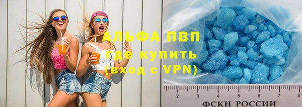 крисы Горняк