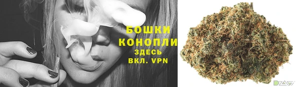 крисы Горняк