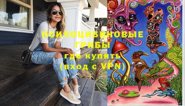 крисы Горняк