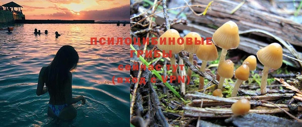 каннабис Горно-Алтайск