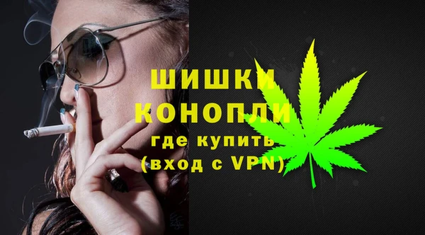 крисы Горняк
