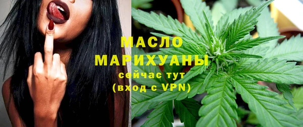 крисы Горняк