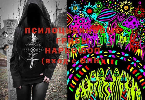 крисы Горняк