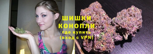 крисы Горняк