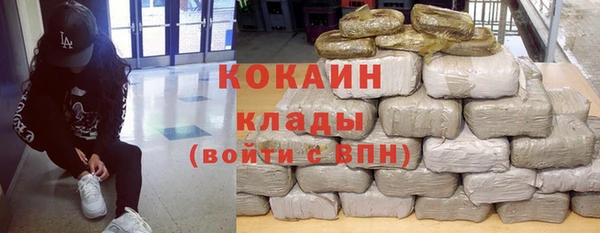 крисы Горняк
