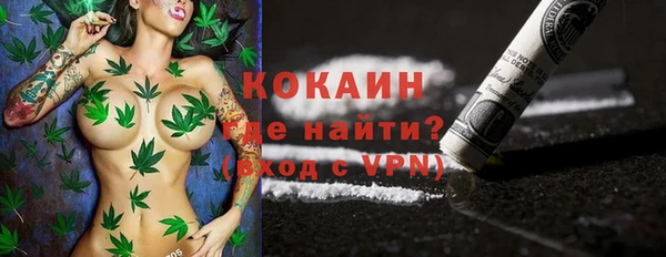крисы Горняк
