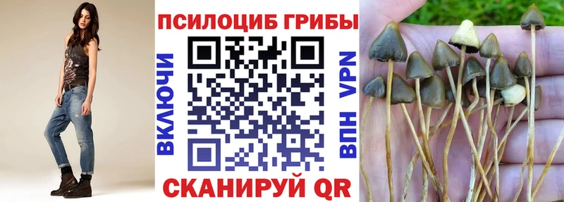Купить где Дербент Галлюциногенные грибы мицелий